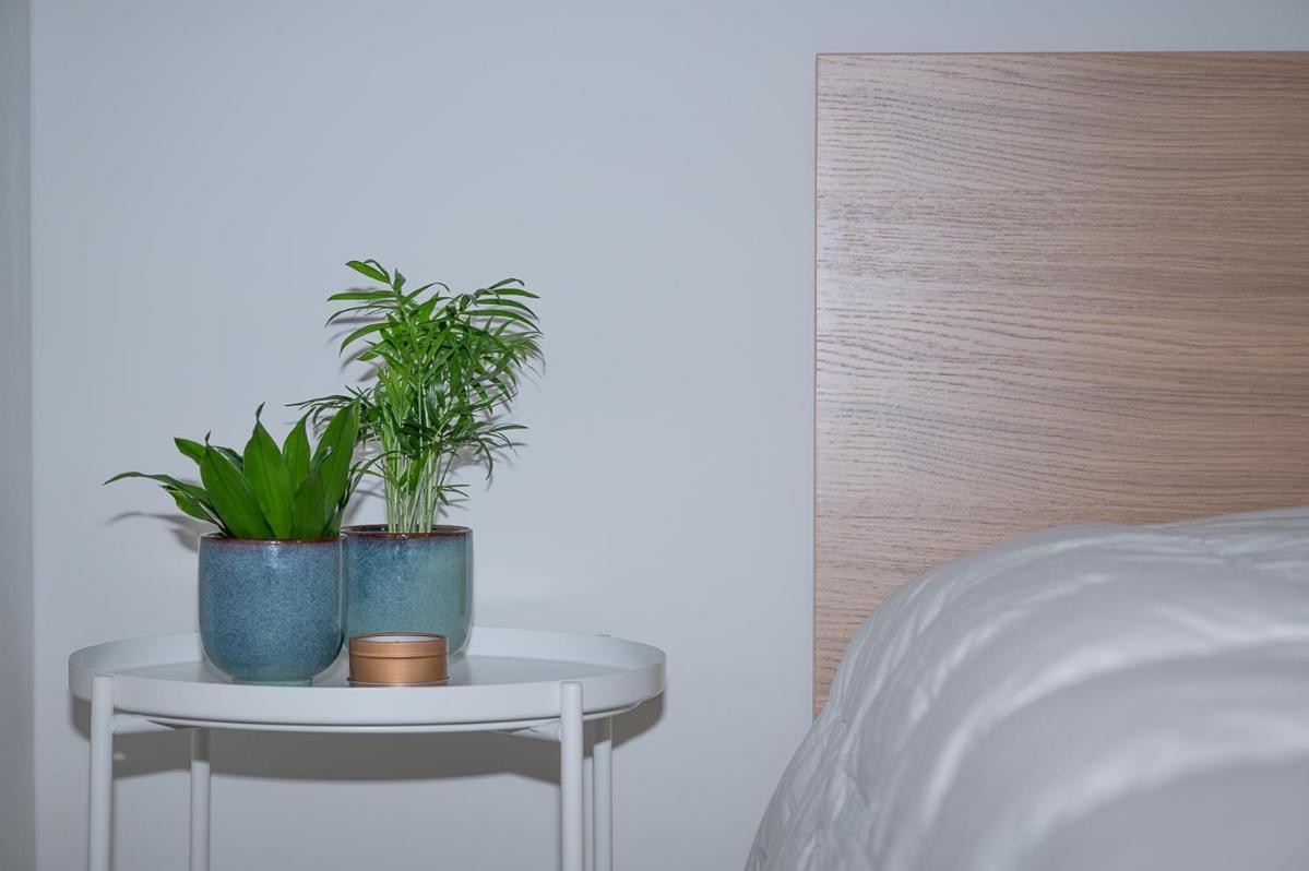 Trendy Apartments As Base To Discover Gent Ngoại thất bức ảnh